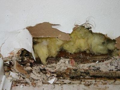 About HydraTech Dry Team - water damage restoration experts in Bradford